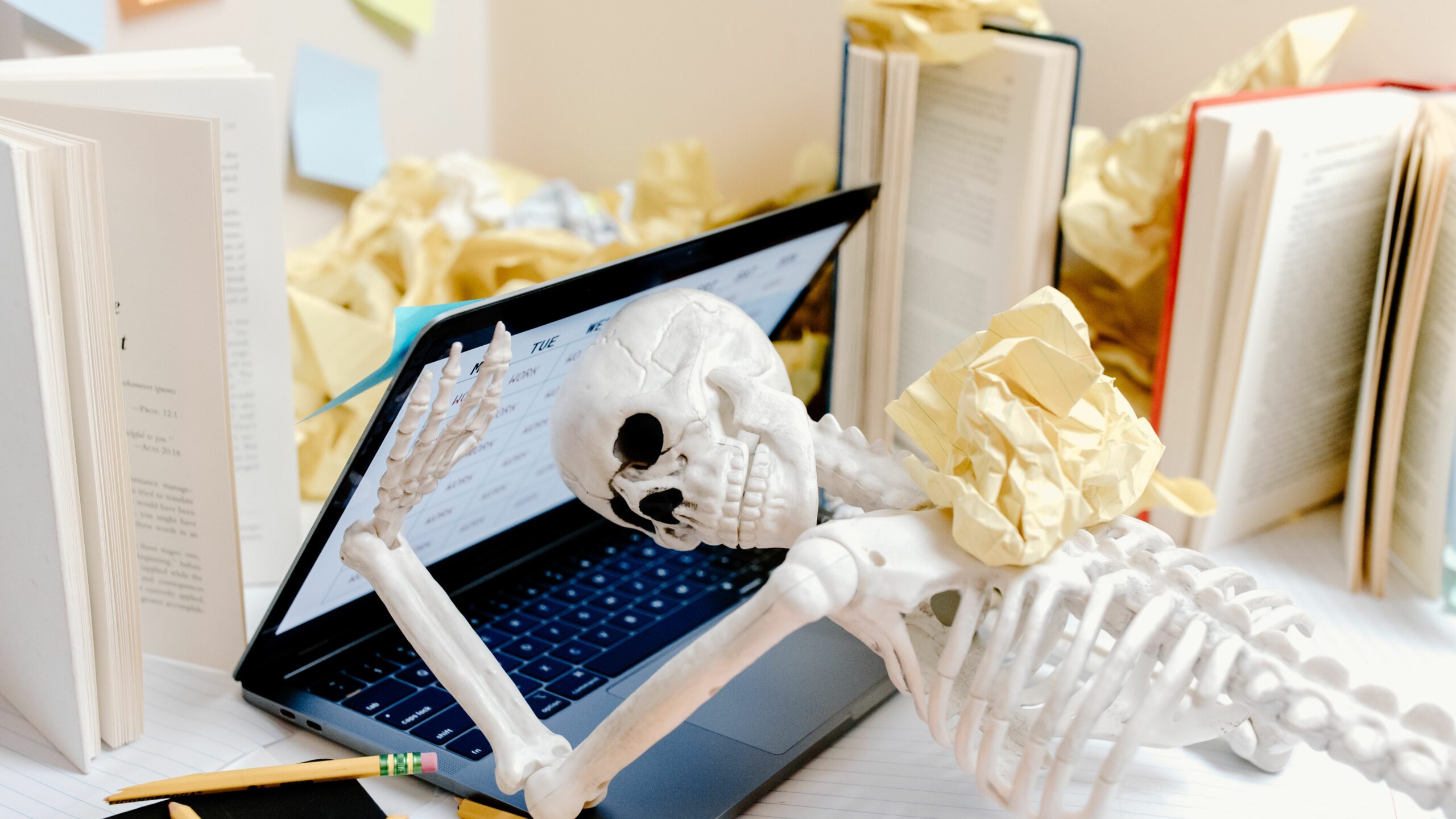 Skeleton computer chargement