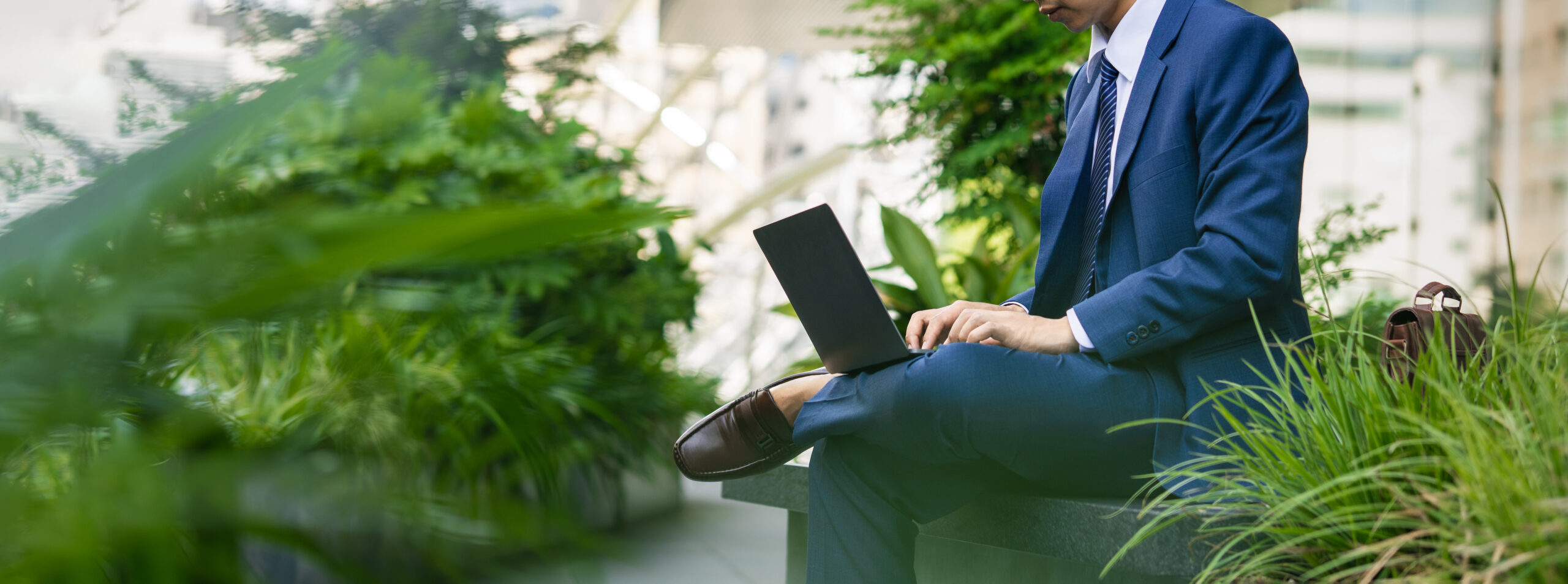 Homme travaillant sur son ordinateur, entouré de plantes vertes