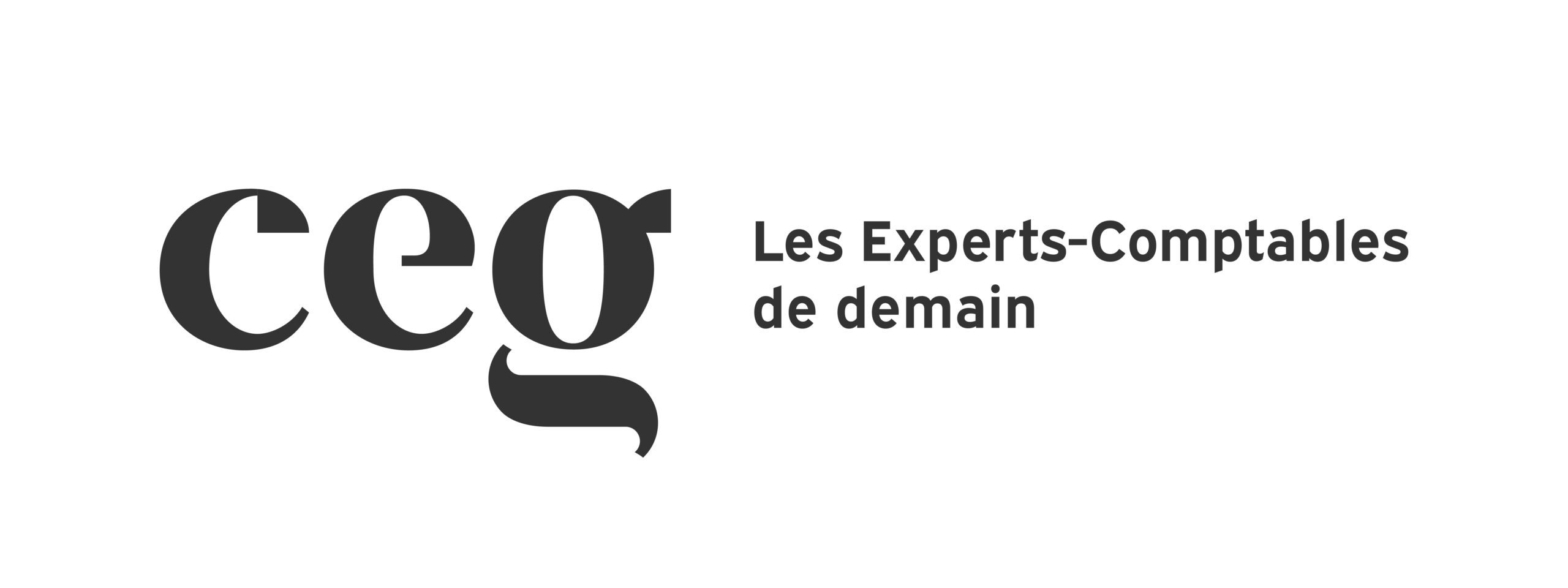 logo-club-des-experts-en-gestion