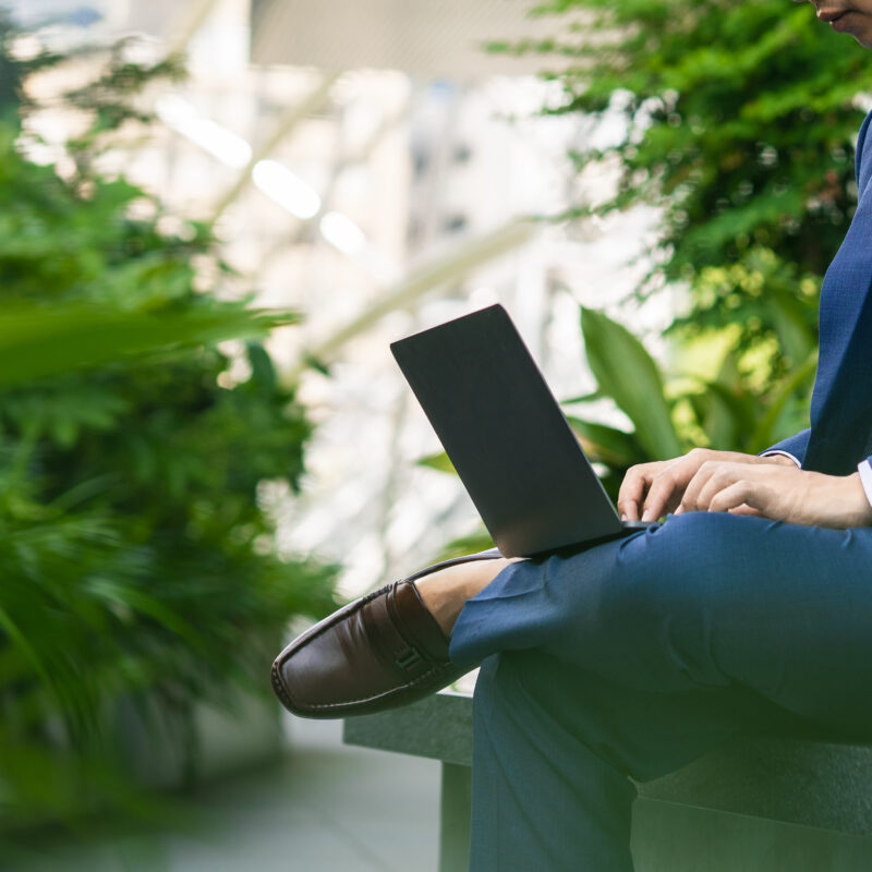 Homme travaillant sur son ordinateur, entouré de plantes vertes